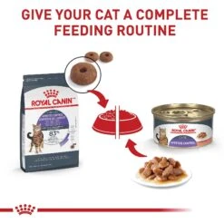 Royal Canin Feline Care Nutrition Appetite Control Care Thin Slices In Gravy Canned Cat Food, 3-oz, Case Of 24 -PurePet Bites Shop 263037 PT5. AC SS1800 V1697761876