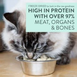 The New Zealand Natural Pet Food Co. Meow Lamb & King Salmon Grain-Free Freeze-Dried Cat Food, 9-oz Bag 9 The New Zealand Natural Pet Food Co. Meow Lamb & King Salmon Grain-Free Freeze-Dried Cat Food, 9-oz Bag -PurePet Bites Shop 263625 PT3. AC SS1800 V1608269931