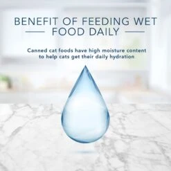 Blue Buffalo Tastefuls Salmon, Chicken, Ocean Fish & Tuna Entrées Variety Pack Pate Wet Cat Food, 3-oz Can, Case Of 12 -PurePet Bites Shop 264515 PT6. AC SS1800 V1689355755