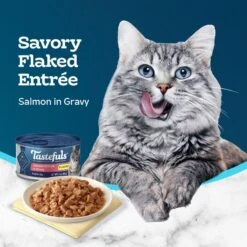 Blue Buffalo Tastefuls Salmon Entrée In Gravy Flaked Wet Cat Food, 3-oz Can, Case Of 24 -PurePet Bites Shop 264531 PT3. AC SS1800 V1630736821