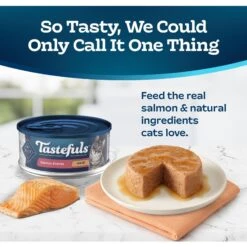 Blue Buffalo Tastefuls Salmon Entrée Pate Wet Cat Food -PurePet Bites Shop 264546 PT2. AC SS1800 V1630737118