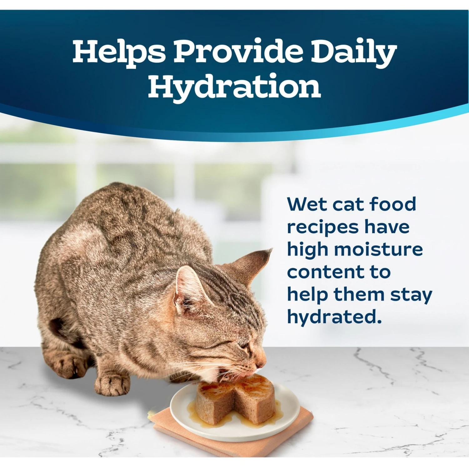 Blue Buffalo Tastefuls Turkey & Chicken Entrée Pate Wet Cat Food 9 Blue Buffalo Tastefuls Turkey & Chicken Entrée Pate Wet Cat Food - Image 7