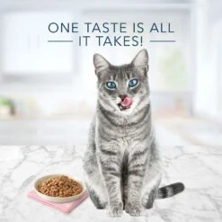 Blue Buffalo Tastefuls Tender Morsels Chicken Entrée Wet Cat Food -PurePet Bites Shop 264552 PT2. AC SS1800 V1689357577