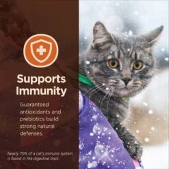 Wellness CORE Digestive Health Wholesome Grains Chicken & Rice Recipe Dry Cat Food -PurePet Bites Shop 264891 PT5. AC SS1800 V1608688958