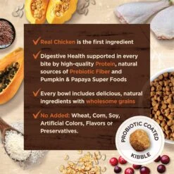 Wellness CORE Digestive Health Wholesome Grains Chicken & Rice Recipe Dry Cat Food -PurePet Bites Shop 264891 PT6. AC SS1800 V1608682945