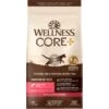 Wellness CORE Digestive Health Wholesome Grains Salmon & Rice Recipe Dry Cat Food 2 Wellness CORE Digestive Health Wholesome Grains Salmon & Rice Recipe Dry Cat Food -PurePet Bites Shop 264893 MAIN. AC SS1800 V1608661990