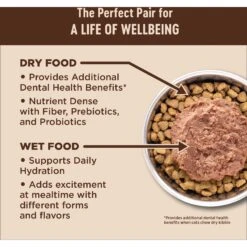 Wellness CORE Digestive Health Wholesome Grains Salmon & Rice Recipe Dry Cat Food -PurePet Bites Shop 264893 PT2. AC SS1800 V1608687158