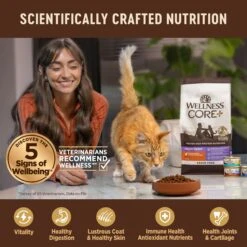 Wellness CORE Digestive Health Wholesome Grains Salmon & Rice Recipe Dry Cat Food -PurePet Bites Shop 264893 PT4. AC SS1800 V1608689249