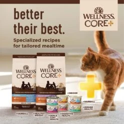 Wellness CORE Digestive Health Wholesome Grains Salmon & Rice Recipe Dry Cat Food -PurePet Bites Shop 264893 PT6. AC SS1800 V1608676655