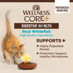 Wellness CORE Digestive Health Whitefish Pate Recipe Grain-Free Wet Cat Food, 3-oz, Case Of 12 -PurePet Bites Shop 264900 PT2. AC SS1800 V1608689844