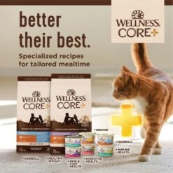 Wellness CORE Digestive Health Whitefish Pate Recipe Grain-Free Wet Cat Food, 3-oz, Case Of 12 -PurePet Bites Shop 264900 PT7. AC SS1800 V1640206001