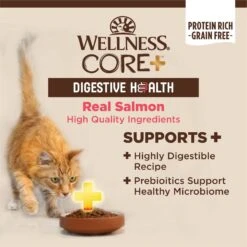 Wellness CORE Digestive Health Salmon Pate Recipe Grain-Free Wet Cat Food, 3-oz, Case Of 12 -PurePet Bites Shop 264902 PT2. AC SS1800 V1608679661