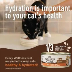 Wellness CORE Digestive Health Salmon Pate Recipe Grain-Free Wet Cat Food, 3-oz, Case Of 12 -PurePet Bites Shop 264902 PT3. AC SS1800 V1608685650