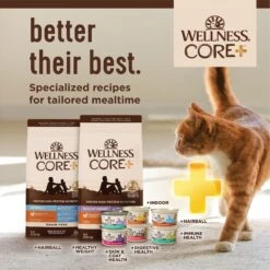 Wellness CORE Digestive Health Salmon Pate Recipe Grain-Free Wet Cat Food, 3-oz, Case Of 12 -PurePet Bites Shop 264902 PT7. AC SS1800 V1640206021