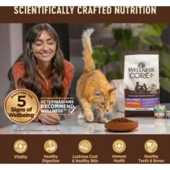 Wellness CORE Digestive Health Chicken & Turkey Pate Variety Pack Grain-Free Wet Cat Food -PurePet Bites Shop 264904 PT4. AC SS1800 V1608692275