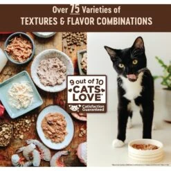 Wellness CORE Digestive Health Salmon & Whitefish Pate Grain-Free Variety Pack Wet Cat Food, 3-oz, Case Of 12 -PurePet Bites Shop 264906 PT6. AC SS1800 V1640204794