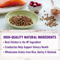 Wellness Natural Hairball Control Chicken Meal & Rice Recipe Dry Cat Food -PurePet Bites Shop 265114 PT2. AC SS1800 V1636520619
