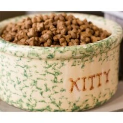 Dr. Gary's Best Breed Holistic All Life Stages Dry Cat Food -PurePet Bites Shop 265428 PT3. AC SS1800 V1609885054