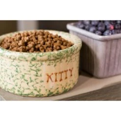 Dr. Gary's Best Breed Holistic Grain-Free All Life Stages Dry Cat Food -PurePet Bites Shop 265429 PT3. AC SS1800 V1609886266