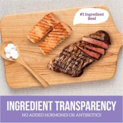 Health Extension Beef & Salmon Grain-Free Wet Cat Food, 2.8-oz Can, Case Of 24 -PurePet Bites Shop 265821 PT8. AC SS1800 V1693245454