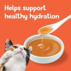 Friskies Lil' Gravies Variety Pack Cat Food Complement -PurePet Bites Shop 266196 PT6. AC SS1800 V1700156485