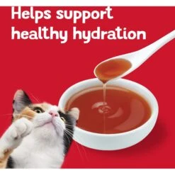 Friskies Lil' Gravies Roast Beef Flavor Cat Food Complement -PurePet Bites Shop 266198 PT6. AC SS1800 V1695845918