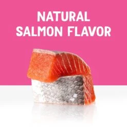 Friskies Lil' Gravies Savory Salmon Flavor Cat Food Complement -PurePet Bites Shop 266200 PT3. AC SS1800 V1695835985