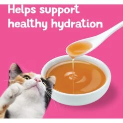 Friskies Lil' Gravies Savory Salmon Flavor Cat Food Complement -PurePet Bites Shop 266200 PT6. AC SS1800 V1695931920