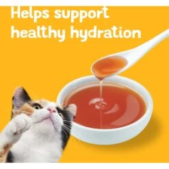 Friskies Lil' Gravies Roasted Chicken Flavor Cat Food Complement -PurePet Bites Shop 266202 PT6. AC SS1800 V1695835985