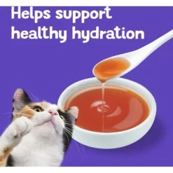 Friskies Lil' Gravies Roasted Turkey Flavor Cat Food Complement -PurePet Bites Shop 266204 PT6. AC SS1800 V1695832283