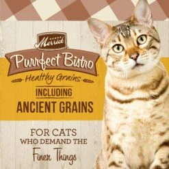 Merrick Purrfect Bistro Healthy Grains Real Chicken + Brown Rice Recipe Adult Dry Cat Food -PurePet Bites Shop 267430 PT2. AC SS1800 V1632782513