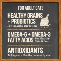 Merrick Purrfect Bistro Healthy Grains Real Chicken + Brown Rice Recipe Adult Dry Cat Food -PurePet Bites Shop 267430 PT6. AC SS1800 V1632790335