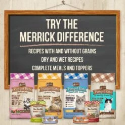 Merrick Purrfect Bistro Healthy Grains Real Salmon + Brown Rice Recipe Adult Dry Cat Food -PurePet Bites Shop 267433 PT8. AC SS1800 V1632795411