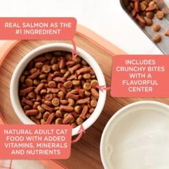 Rachael Ray Nutrish Savory Bites Tasty Salmon & Veggies Recipe Dry Cat Food, 5-lb Bag -PurePet Bites Shop 269175 PT2. AC SS1800 V1611792416