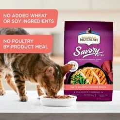 Rachael Ray Nutrish Savory Bites Tasty Salmon & Veggies Recipe Dry Cat Food, 5-lb Bag -PurePet Bites Shop 269175 PT3. AC SS1800 V1611787652