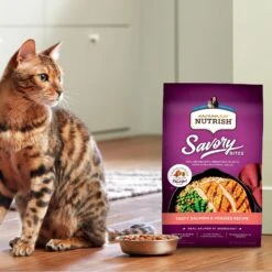 Rachael Ray Nutrish Savory Bites Tasty Salmon & Veggies Recipe Dry Cat Food, 5-lb Bag -PurePet Bites Shop 269175 PT4. AC SS1800 V1611791853