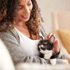 Rachael Ray Nutrish Savory Bites Tasty Salmon & Veggies Recipe Dry Cat Food, 5-lb Bag -PurePet Bites Shop 269175 PT5. AC SS1800 V1611787278