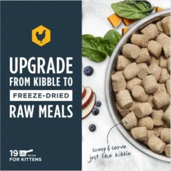 Instinct Raw Meals Cage-Free Chicken Recipe Grain-Free Freeze-Dried Kitten Food, 9.5-oz Bag 13 Instinct Raw Meals Cage-Free Chicken Recipe Grain-Free Freeze-Dried Kitten Food, 9.5-oz Bag -PurePet Bites Shop 270213 PT2. AC SS1800 V1690580606