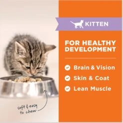 Instinct Raw Meals Cage-Free Chicken Recipe Grain-Free Freeze-Dried Kitten Food, 9.5-oz Bag 15 Instinct Raw Meals Cage-Free Chicken Recipe Grain-Free Freeze-Dried Kitten Food, 9.5-oz Bag -PurePet Bites Shop 270213 PT4. AC SS1800 V1690814168