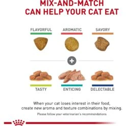 Royal Canin Veterinary Diet Adult Renal Support E Loaf In Sauce Canned Cat Food -PurePet Bites Shop 270967 PT3. AC SS1800 V1701881049