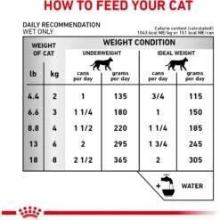Royal Canin Veterinary Diet Adult Renal Support E Loaf In Sauce Canned Cat Food -PurePet Bites Shop 270967 PT5. AC SS1800 V1701881352