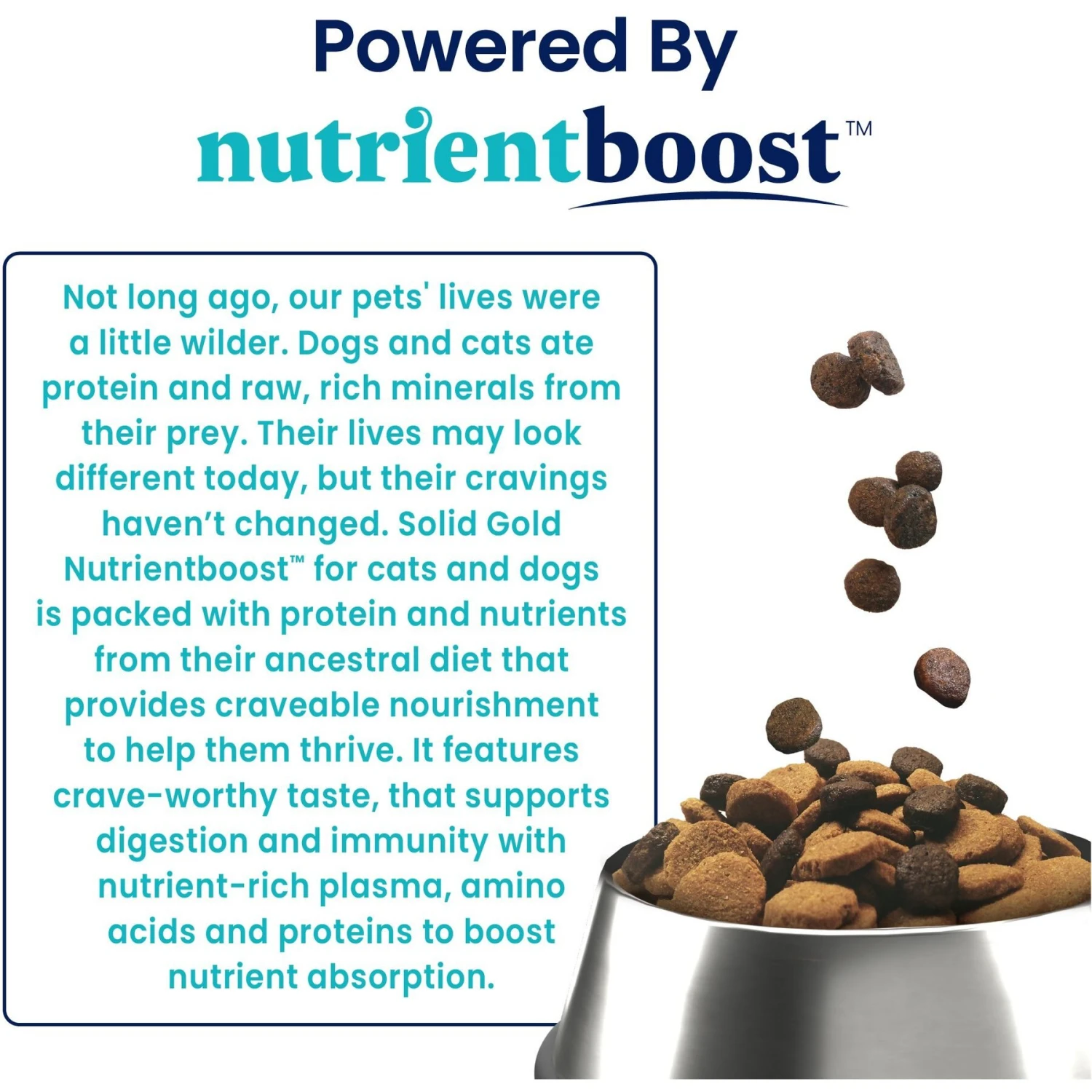 Solid Gold Nutrient Boost Grain-Free Cat Food Topper 5 Solid Gold Nutrient Boost Grain-Free Cat Food Topper - Image 3