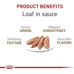 Royal Canin Feline Health Nutrition Aging 12+ Loaf In Sauce Canned Cat Food 13 Royal Canin Feline Health Nutrition Aging 12+ Loaf In Sauce Canned Cat Food -PurePet Bites Shop 272682 PT2. AC SS1800 V1697733666