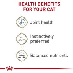 Royal Canin Feline Health Nutrition Aging 12+ Loaf In Sauce Canned Cat Food 14 Royal Canin Feline Health Nutrition Aging 12+ Loaf In Sauce Canned Cat Food -PurePet Bites Shop 272682 PT3. AC SS1800 V1697759567