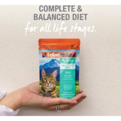 Feline Natural Hoki & Beef Feast Grain-Free Wet Cat Food, 3-oz Pouch, Case Of 12 -PurePet Bites Shop 277490 PT4. AC SS1800 V1628703987
