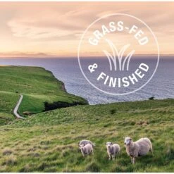 Feline Natural Hoki & Beef Feast Grain-Free Wet Cat Food, 3-oz Pouch, Case Of 12 -PurePet Bites Shop 277490 PT6. AC SS1800 V1628703973