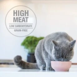 Feline Natural Lamb & King Salmon Grain-Free Wet Cat Food, 3-oz Pouch, Case Of 12 -PurePet Bites Shop 277492 PT3. AC SS1800 V1628703680