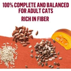 Purina Beyond Mixers+ Digestive Support Variety Pack Wet Cat Food, 1.55-oz Pouch, Case Of 8 -PurePet Bites Shop 277801 PT7. AC SS1800 V1699391293