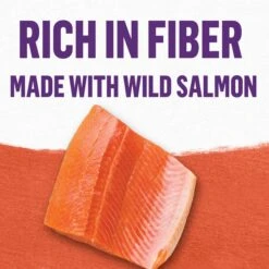 Purina Beyond Mixers+ Digestive Support Wild Salmon & Pumpkin Recipe Wet Cat Food, 1.55-oz Pouch, Case Of 16 -PurePet Bites Shop 277803 PT7. AC SS1800 V1700158760