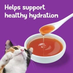 Friskies Lil' Gravies & Lil' Grillers Variety Pack Wet Cat Food Complement, 1.55-oz Pouch, Case Of 30 -PurePet Bites Shop 278909 PT6. AC SS1800 V1700159308